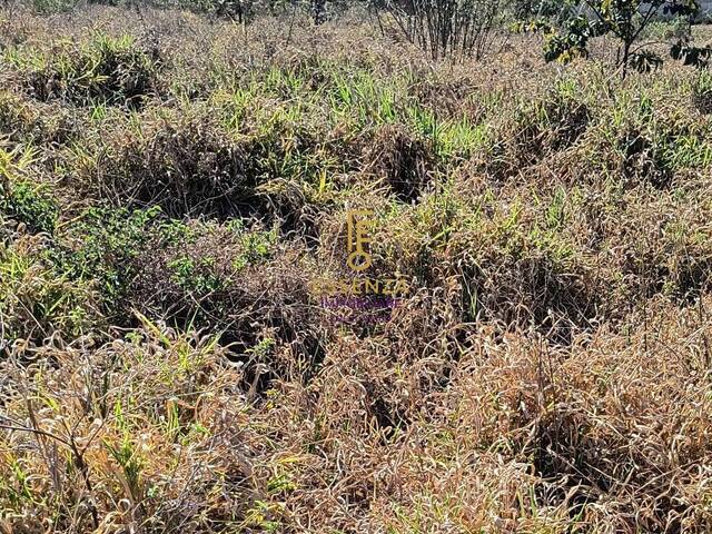 #9 - Terreno para Venda em Rio Claro - SP